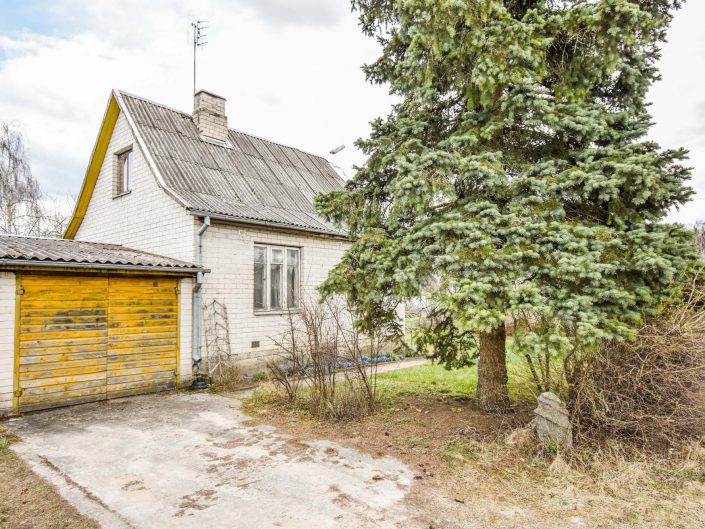 Sodas Kaubariškio k., Panevėžio r.